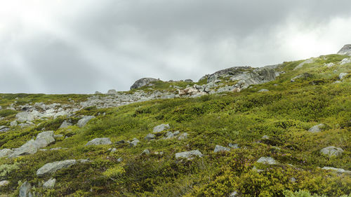 Scenic view of land against sky