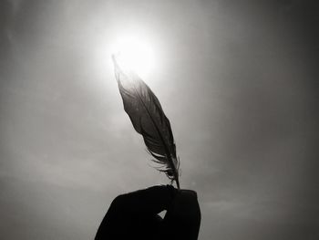 Cropped image of hand holding feather against sky