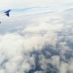 Cropped image of airplane flying over clouds