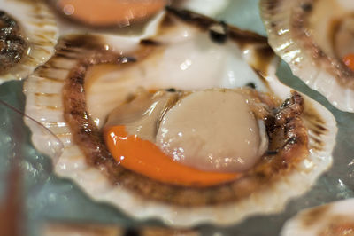 Full frame shot of breakfast served in plate