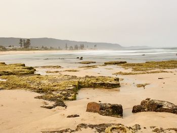 Scenic view of beach against clear sky