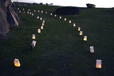 View of candles on grassy field