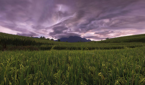 Scenic view of field against cloudy sky