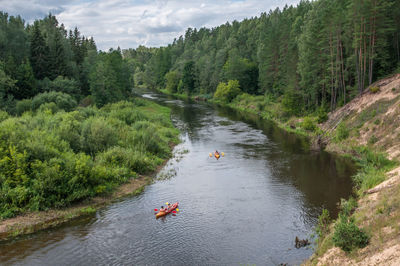 High angle view of river amidst trees in forest