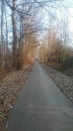 Road amidst bare trees in forest during autumn