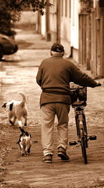 Rear view of man with dog on street