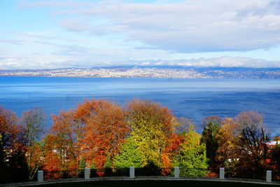 Scenic view of autumn trees against sky