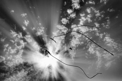 Low angle view of tree against sky