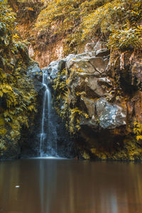 Scenic view of waterfall in forest