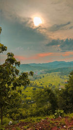 Scenic view of field against sky during sunset