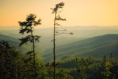 Scenic view of landscape against sky during sunset