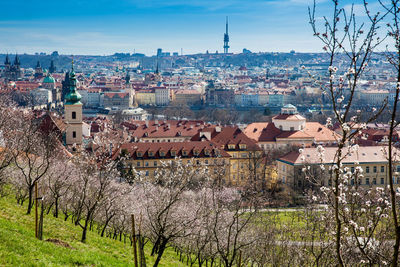 Prague city seen from the petrin gardens on a sunny day at the beginning of spring