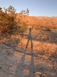 Shadow of person on land