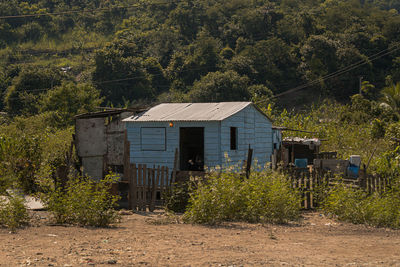 Houses by trees and plants in forest