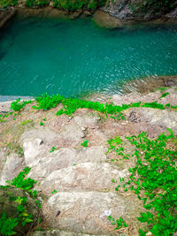 High angle view of rock by lake