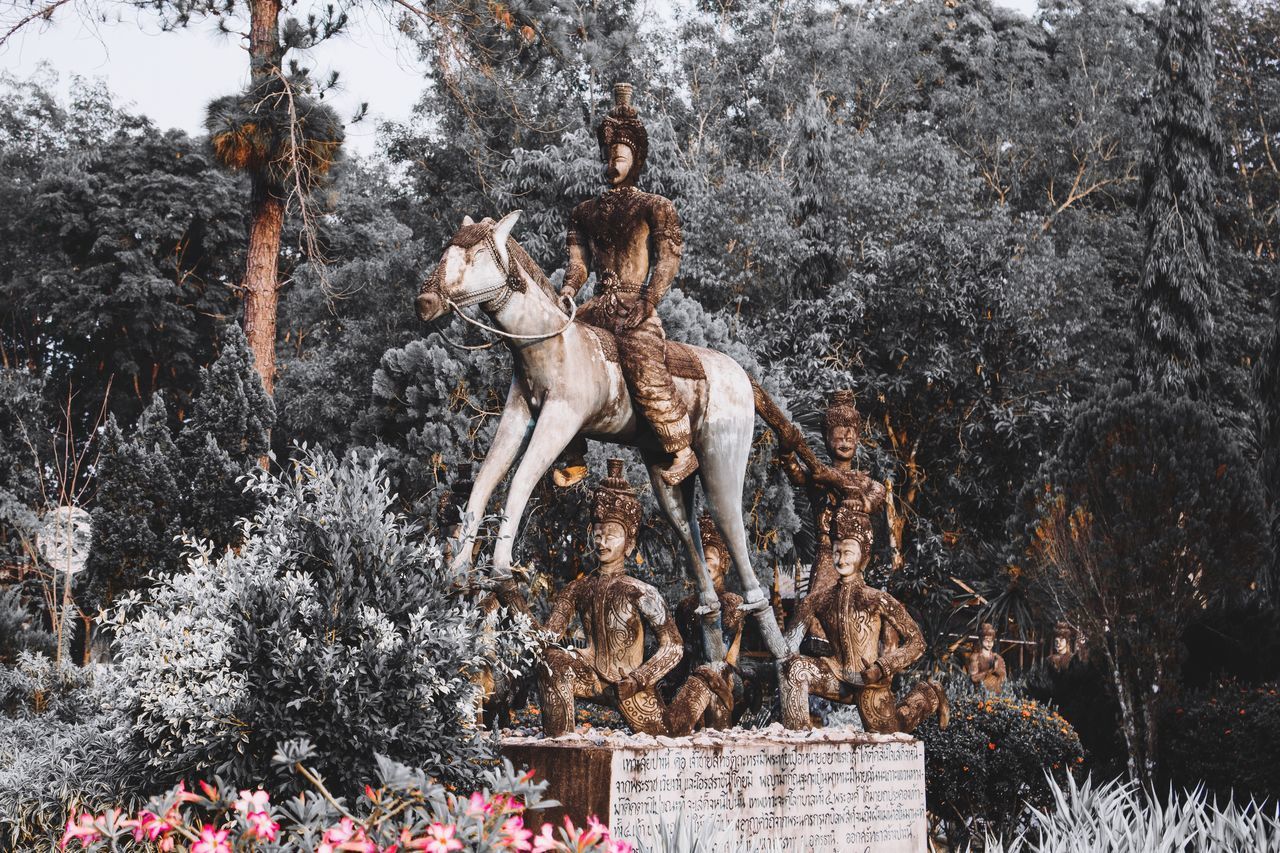 STATUE BY TREES AGAINST PLANTS