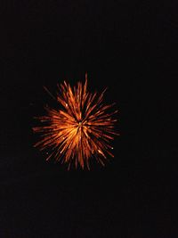 Low angle view of firework display in sky at night