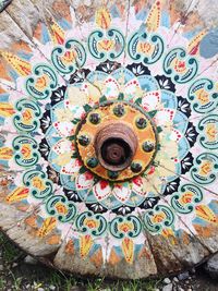 Close-up of multi colored flower