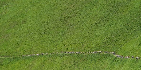 Aerial view pf people walking on mountain road during sunny day