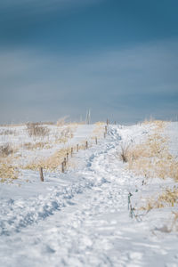 Scenic view of snow covered landscape