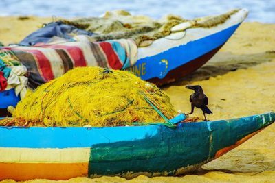 Bird perching on boat at beach