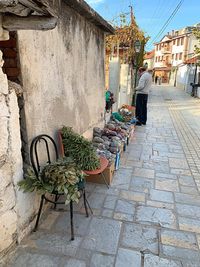 Potted plants on footpath by street in city