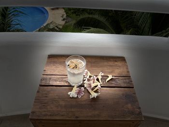 High angle view of potted plant on table