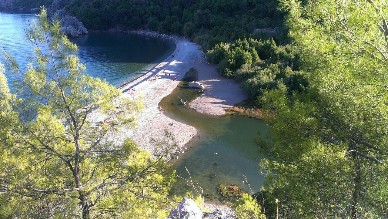 water, tree, high angle view, leisure activity, lifestyles, nature, nautical vessel, tranquility, men, beauty in nature, tranquil scene, transportation, scenics, boat, green color, sea, travel, river