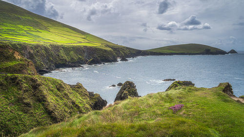 Bay surrounded by tall cliffs and islands of dingle peninsula, wild atlantic way, kerry, ireland