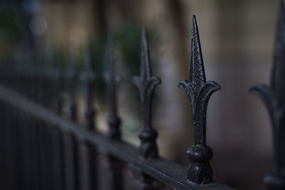 Close-up of metal fence against blurred background