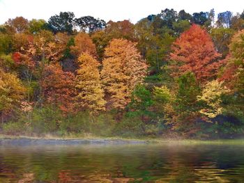 Scenic view of lake in forest during autumn