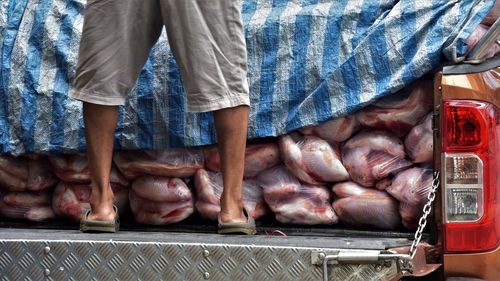 Low section of man standing by fishes in truck