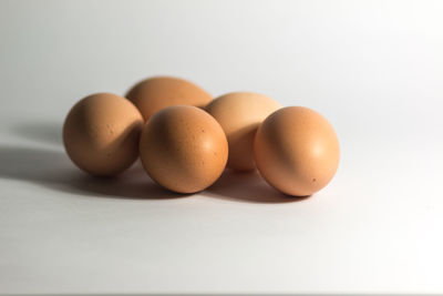 Close-up of eggs against white background