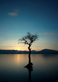 Silhouette bare tree by lake against sky during sunset