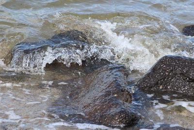 High angle view of waves splashing on rocks