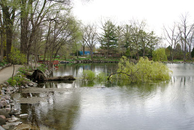 Scenic view of lake against trees