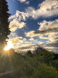 Scenic view of field against sky during sunset