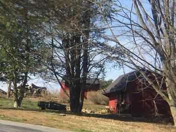 Trees by house against clear sky