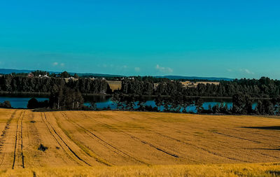 Scenic view of field against blue sky