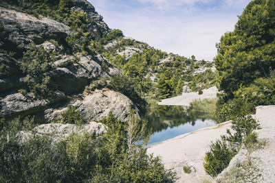 Calm stream with many stones on the path, surrounded by much green forest in catalonia, spain