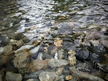 Full frame shot of rippled water