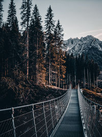 Road amidst trees against sky and mountain