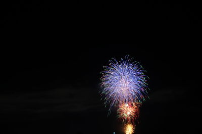 Low angle view of firework display at night