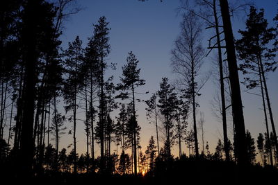 Low angle view of silhouette trees against sky during sunset