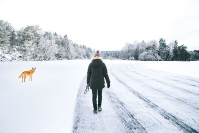 Rear view of woman and dog walking on snow covered road against sky