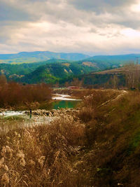 Scenic view of landscape against sky