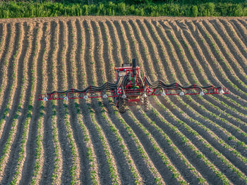 Farm tractor spraying pesticides over the field of ripening planted potato field