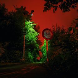 Footpath along trees