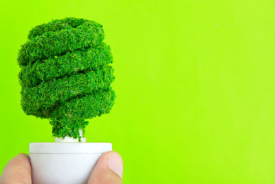 Close-up of woman hand holding leaf over green background