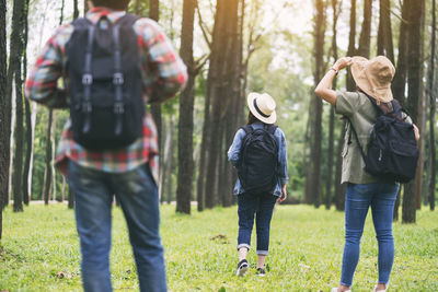 Rear view of people walking in forest